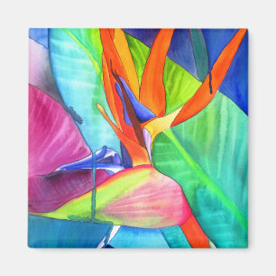 Íman Ave de Paradise Strelitzia, arte tropical floral