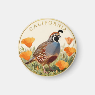 Íman Ave do Estado da Califórnia California Quail & Gol