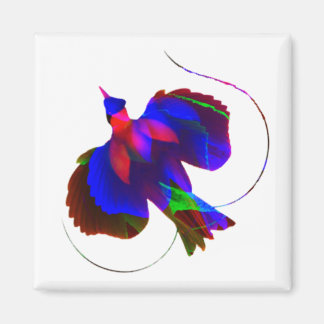 Íman Ave do Paraíso do Magnet Papua-Nova Guiné