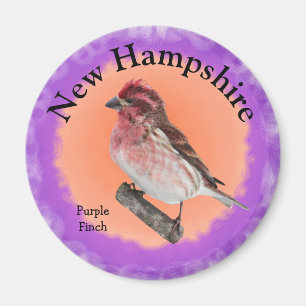 Íman Ave Estatal de New Hampshire