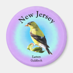 Íman Ave Estatal de Nova Jersey