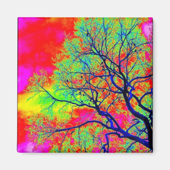 Íman Ave Magnet (Frente)