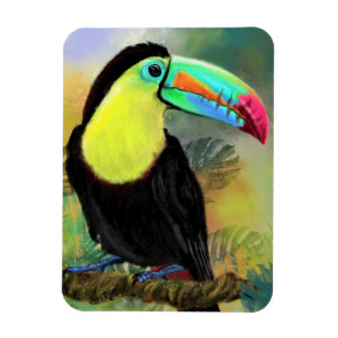 Íman Ave Tropical Toco Toucan Exótica - Pintura Migrad