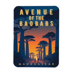 Íman Avenida dos Baobás Madagascar - Retro-africana