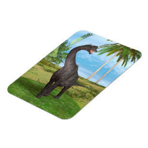 Íman Aventura do Dinossauro de Pescoço Longo na Selva