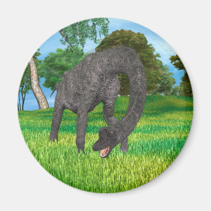 Íman Aventura na Selva do Dinossauro de Pescoço Longo