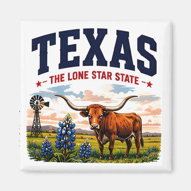Íman Aventura Texas Lone Star (Frente)
