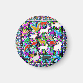 Íman Aves Animais Animais Animais Animais De Companhia