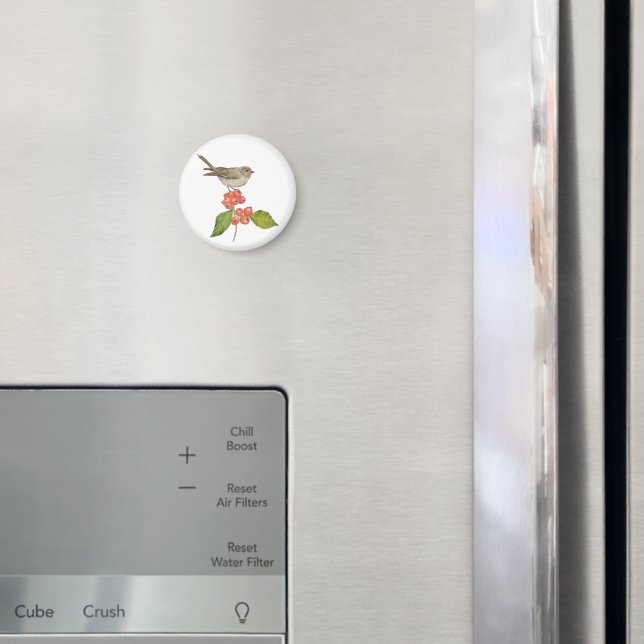 Íman Aves aquáticas "Sylvia curruca" (In Situ (Fridge))