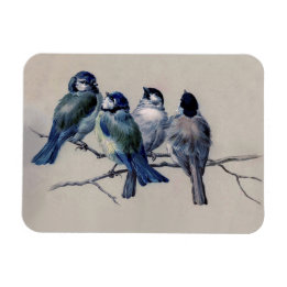 Íman Aves Azuis e Cinzas numa safra de aquarela de Rami