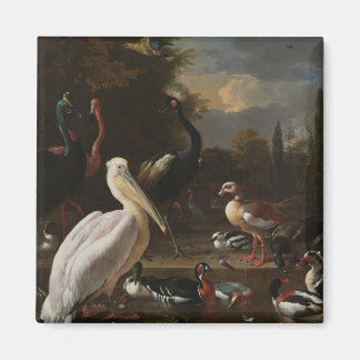Íman Aves de arte