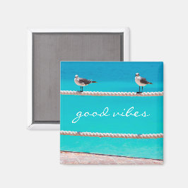 Íman Aves de Caivota Turquoise Ocean Foto Boas Víblias