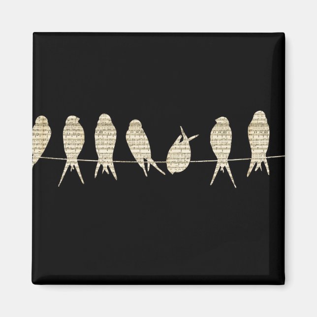 Íman Aves Musicais (Frente)