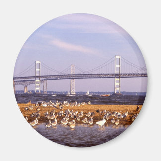 Íman Aves na Baía de Chesapeake