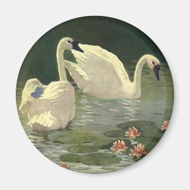 Íman Aves Selvagens Vintage, Cisnes Brancas Vitorianas (Frente)