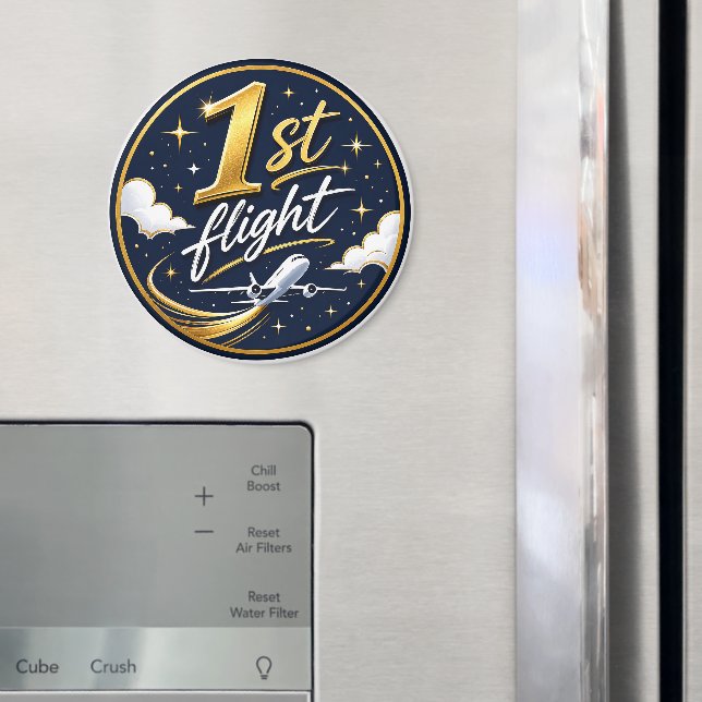 Íman avião do primeiro voo  (In Situ (Fridge))