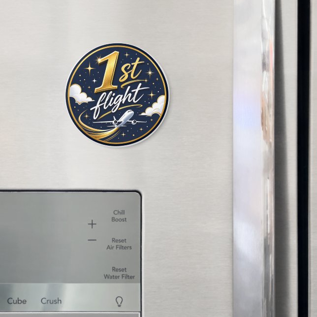 Íman avião do primeiro voo  (In Situ (Fridge))