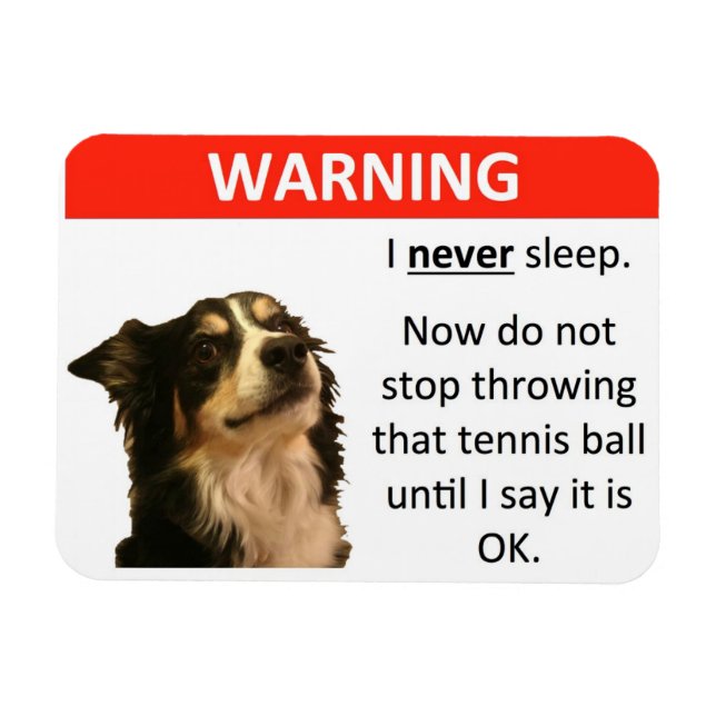 Íman Aviso de Bola de tênis (Borda Collie) (Horizontal)