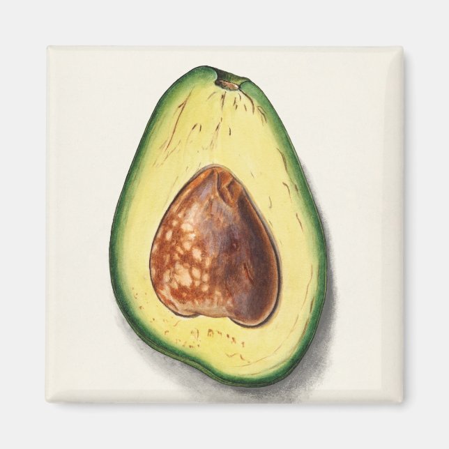 Íman Avocado (Frente)