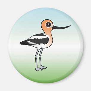 Íman Avocet americano