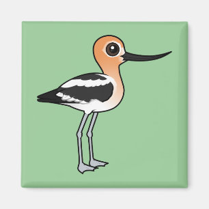 Íman Avocet americano