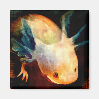 Íman Axolotl Sun