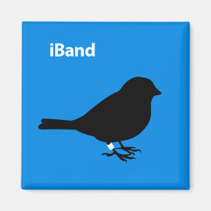 Íman Azul de banda