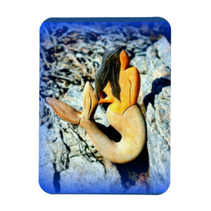 Íman azul-de-cabelos-pretos