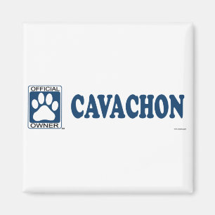 Íman Azul de Cavachon