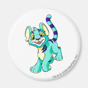 Íman Azul de Kougra