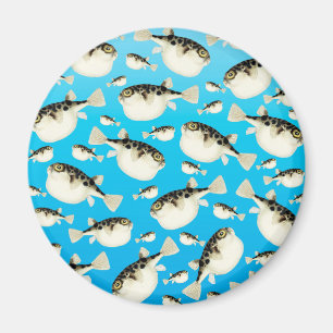 Íman azul dos peixes do soprador