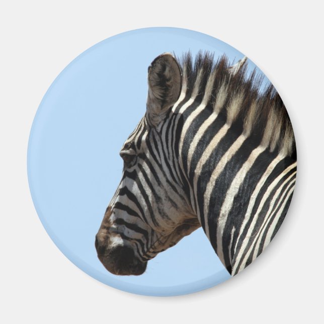 Íman azul-zebra (Frente)