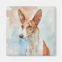 Azulejo de Foto em Acrílico do Cão de Ibiza