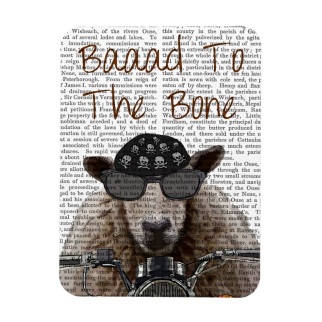 Íman Baad para o Osso (Vertical)