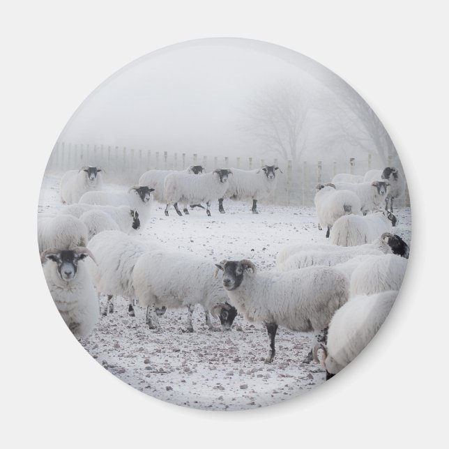 Íman Baad Weather (Frente)