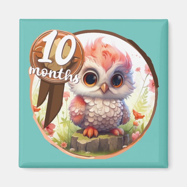 Íman Baby - 10 months too (Frente)