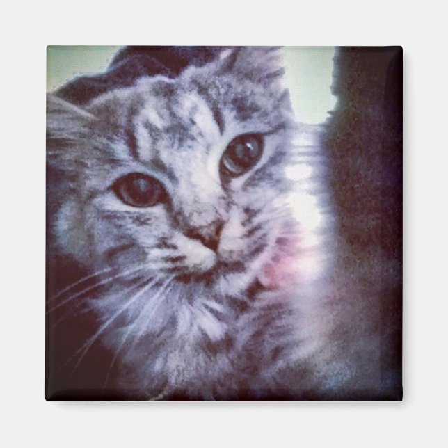 Íman Baby Artemis (Frente)