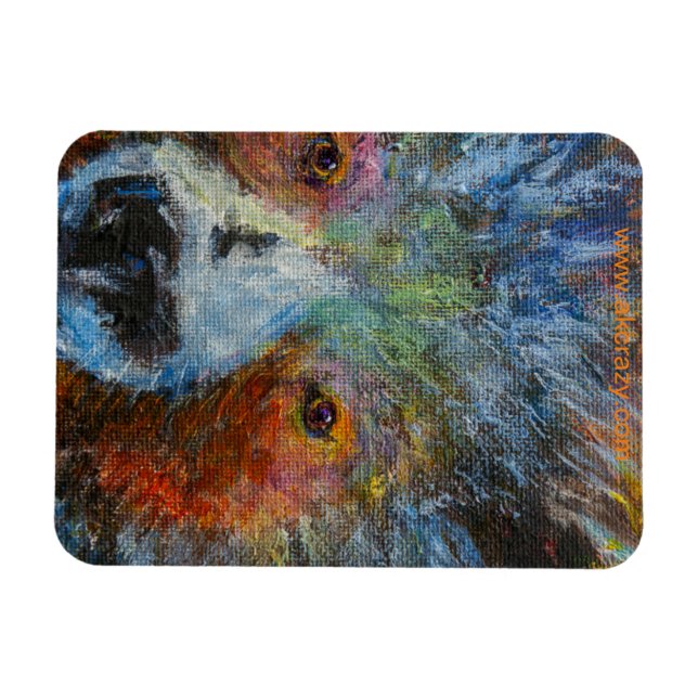 Íman Baby Bruin Magnet (Horizontal)