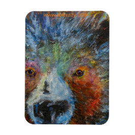 Íman Baby Bruin Magnet