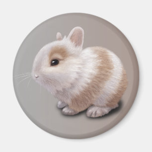 Íman Baby Bunny