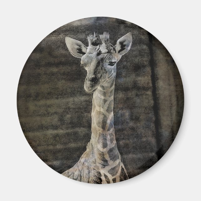 Íman Baby Giraffe (Frente)
