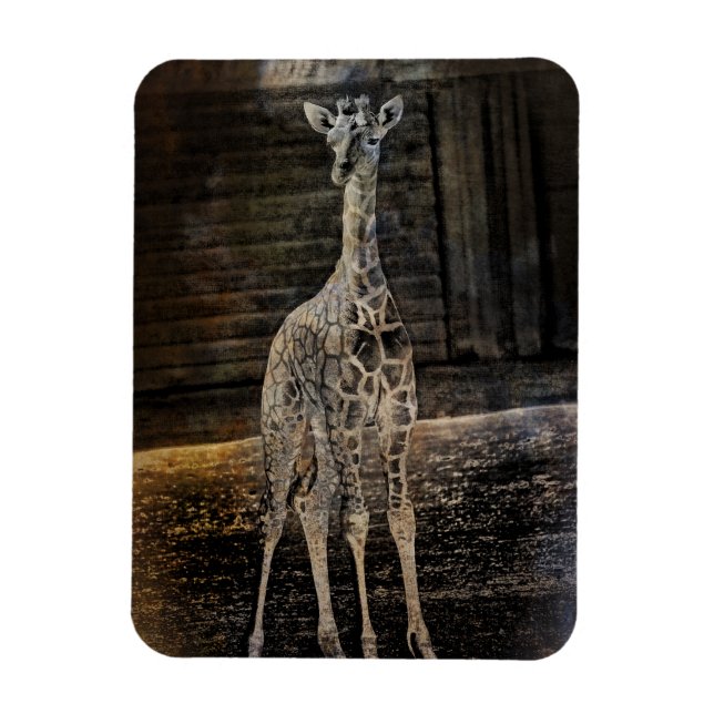 Íman Baby Giraffe (Vertical)