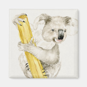 Íman Baby Koala Cuta e Furto