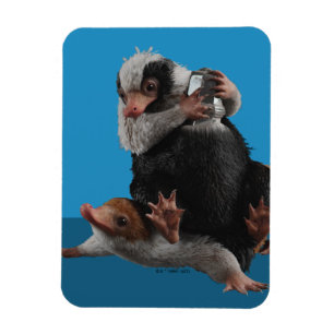 Íman Baby Nifflers Encontra Prêmio