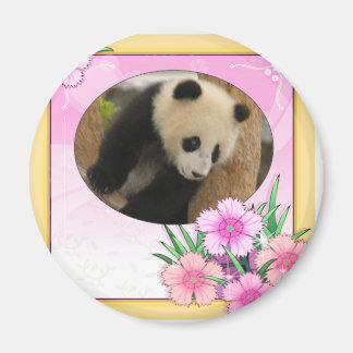Íman baby-panda-00083-85x85