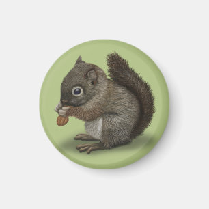 Íman Baby Squirrel