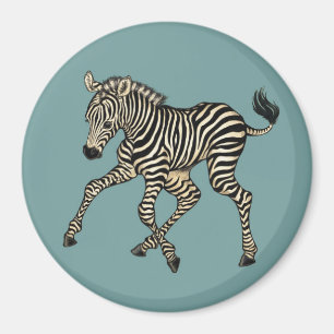 Íman Baby Zebra
