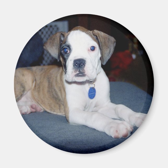 Íman BabyChloe2 (Frente)