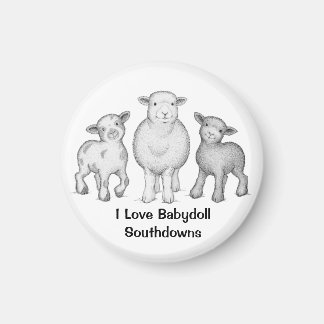 Íman Babydoll Sheep Magnet