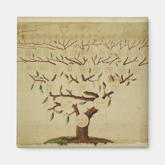 Íman Bach Family Tree, c.1750-1770 (Frente)